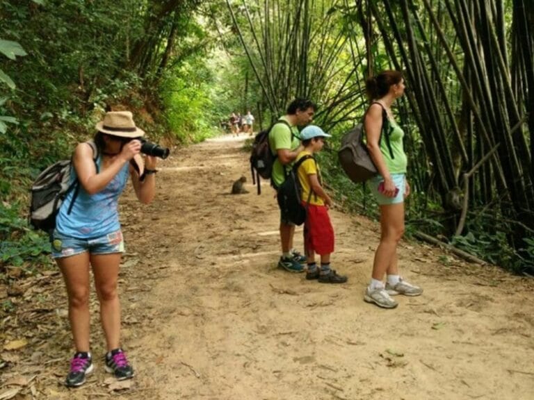 Khao Sok Tours & Activities 7 Khao Sok Jungle Trekking