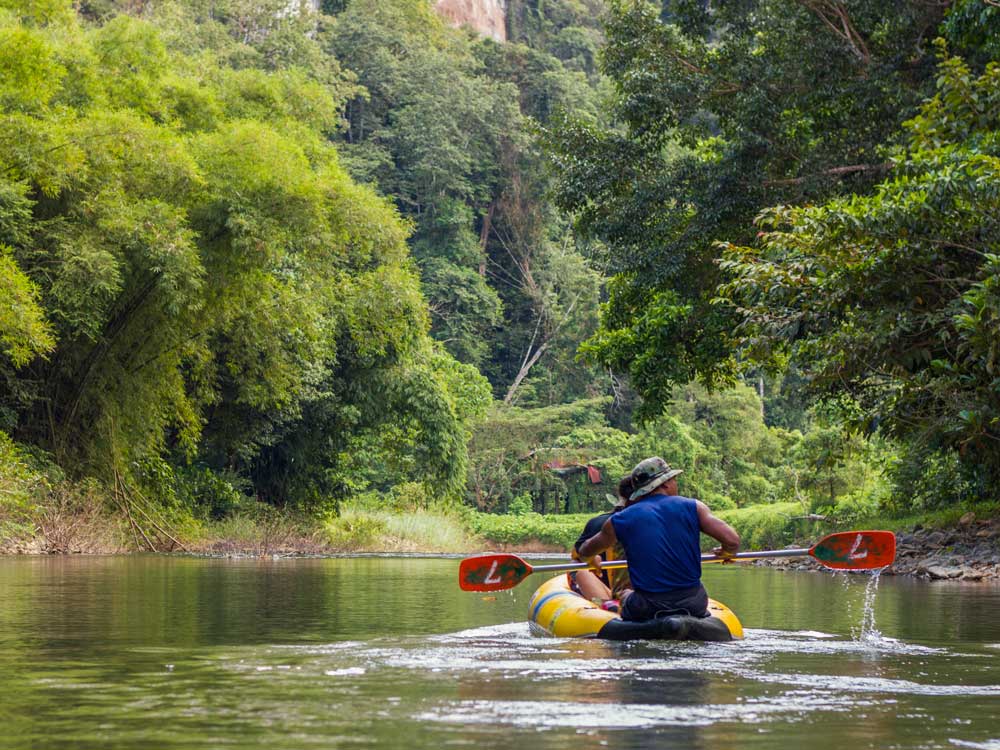 khao sok canoe experience sok river rainforest