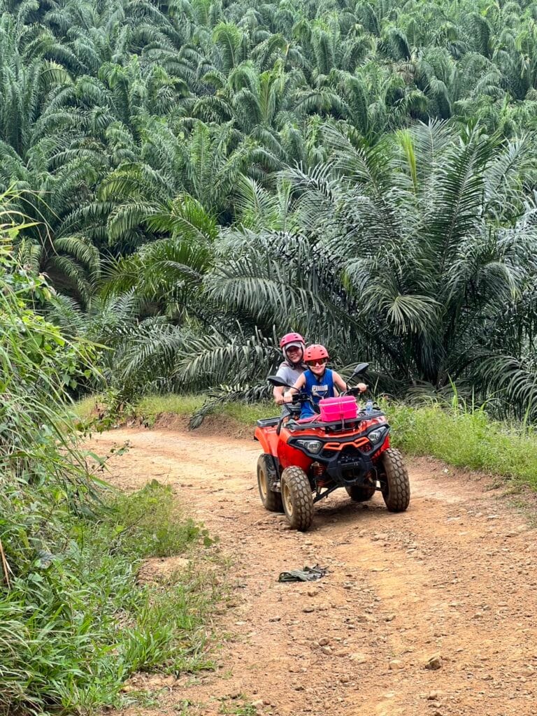 ATV Khao Sok experience through rainforest