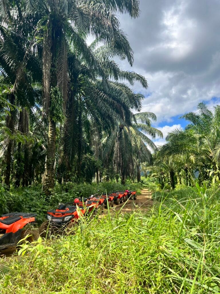 ATV Khao Sok experience through rainforest