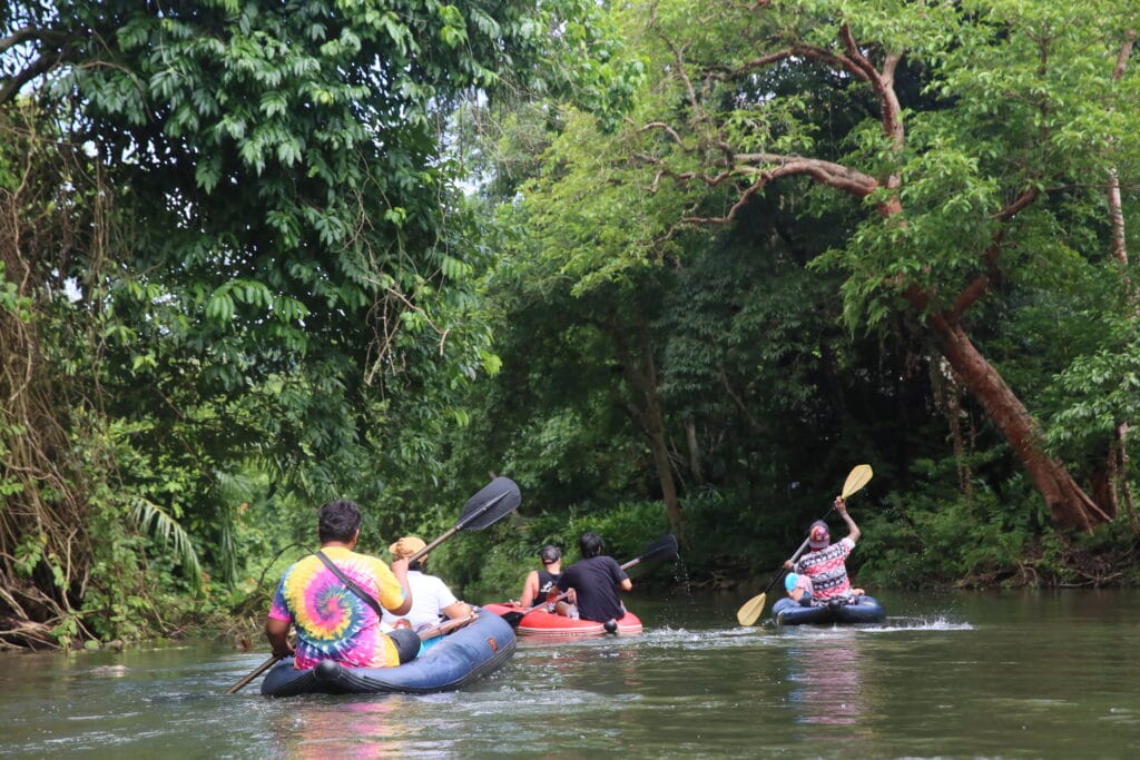 khao sok canoe experience sok river rainforest