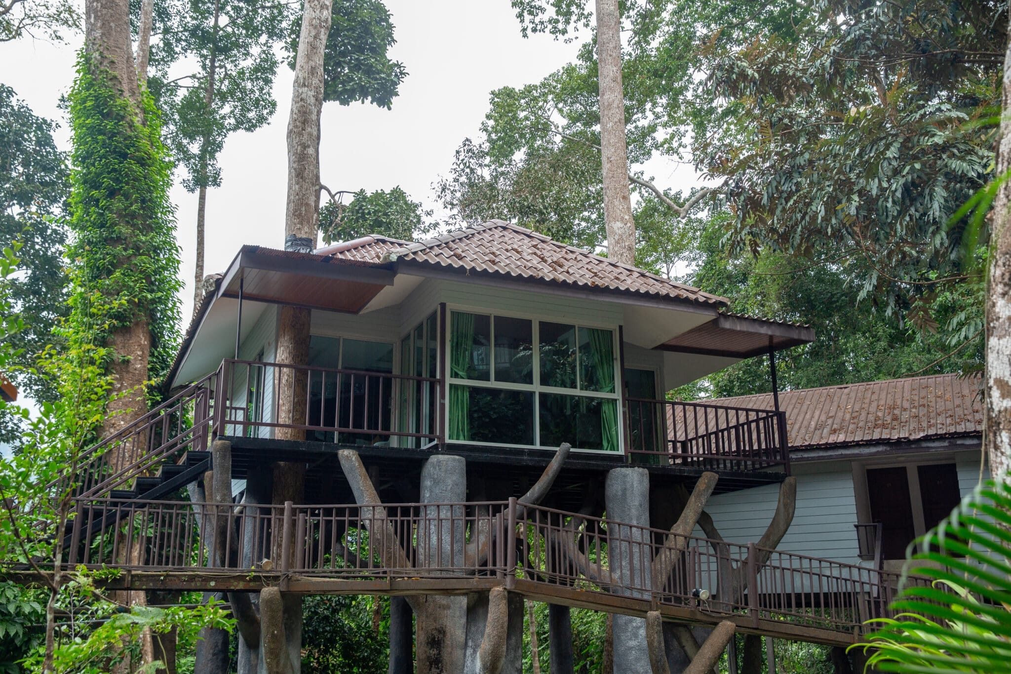 Khao Sok Tours & Activities 1 Fauna Family Bungalow Khao Sok