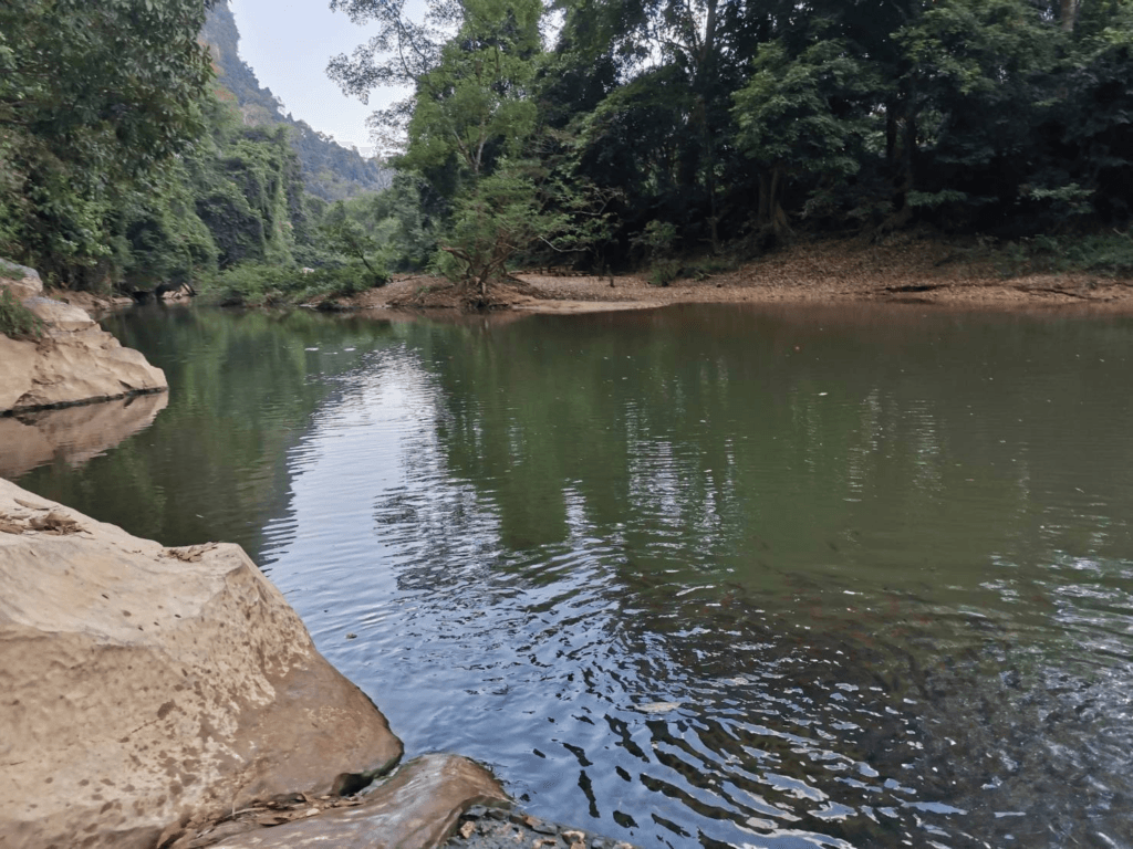 Khao Sok bamboo rafting experience on Sok River surrounded by limestone mountains and jungle