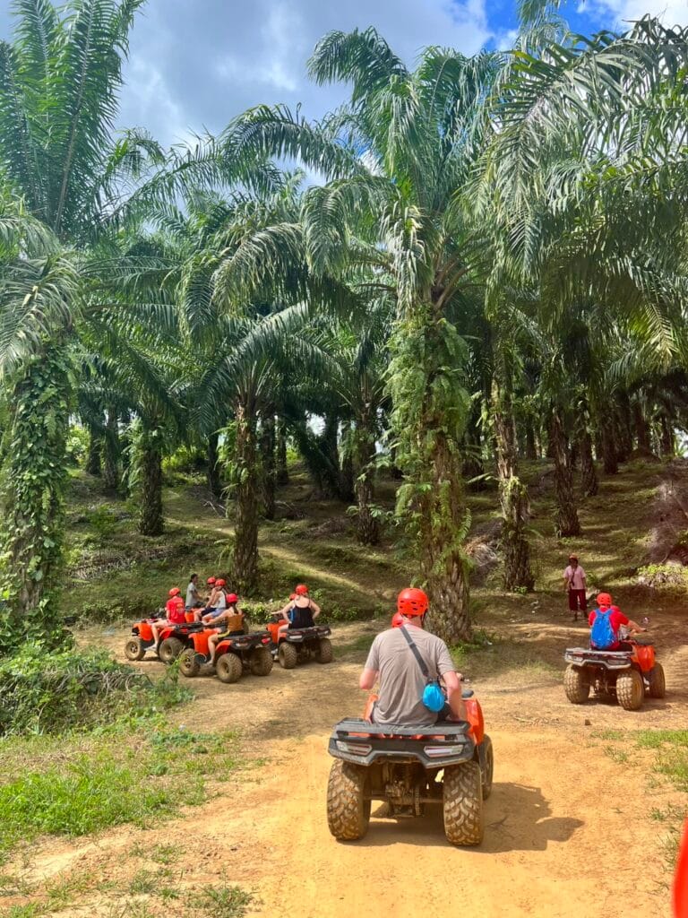 Khao Sok ATV Adventure jungle trail