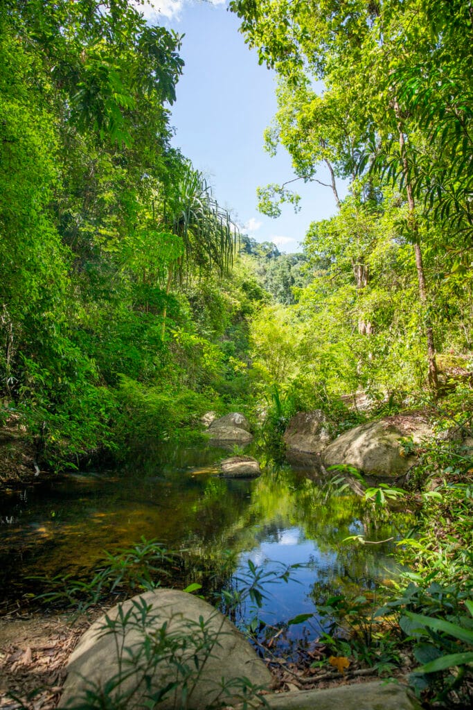 Khao Sok Half Day Jungle Trek waterfall