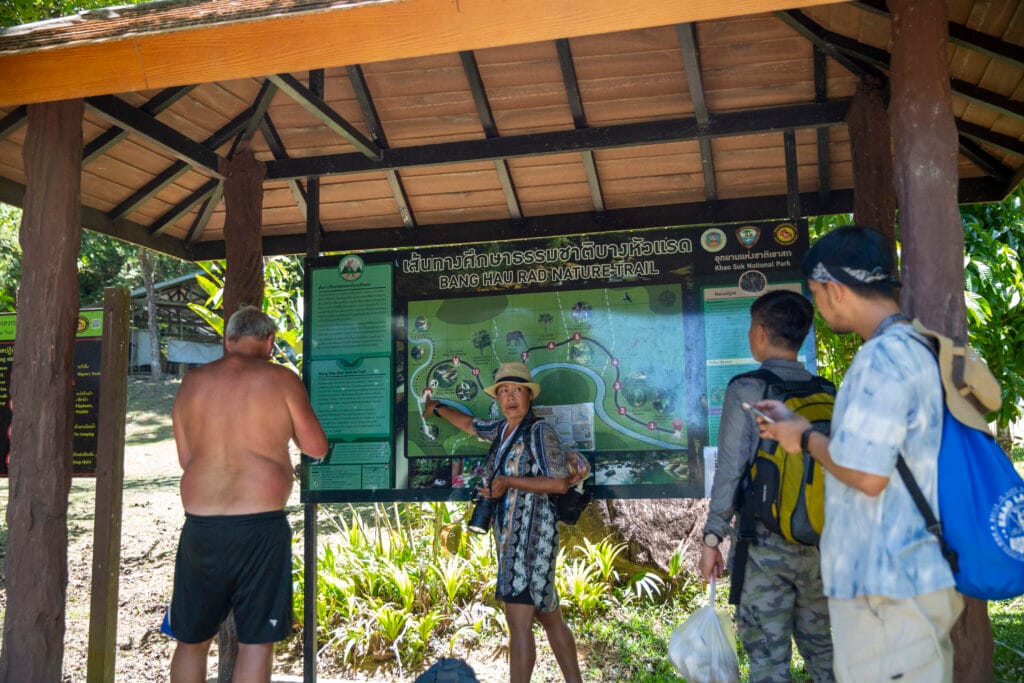 Khao Sok Half Day Jungle Trek rainforest trail